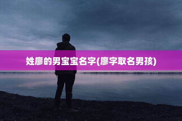 姓廖的男宝宝名字(廖字取名男孩)