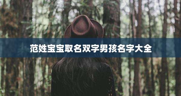 范姓宝宝取名双字男孩名字大全