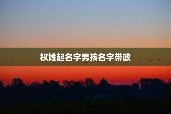 权姓起名字男孩名字带政