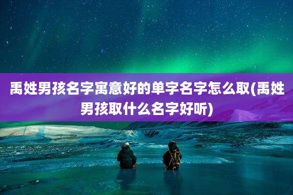 禹姓男孩名字寓意好的单字名字怎么取(禹姓男孩取什么名字好听)