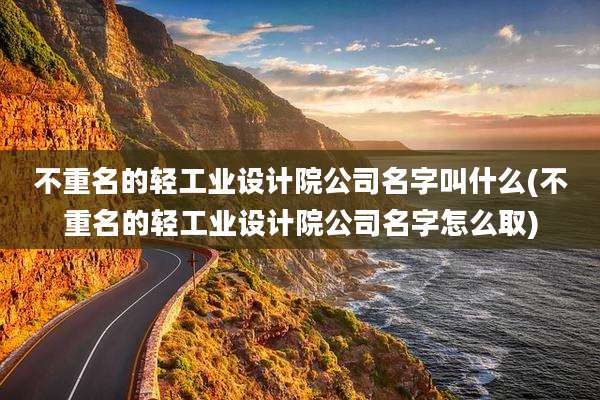 不重名的轻工业设计院公司名字叫什么(不重名的轻工业设计院公司名字怎么取)