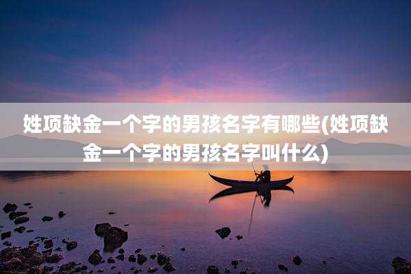 姓项缺金一个字的男孩名字有哪些(姓项缺金一个字的男孩名字叫什么)