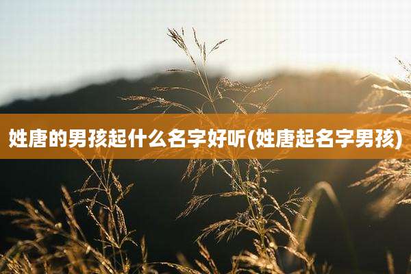 姓唐的男孩起什么名字好听(姓唐起名字男孩)