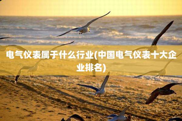 电气仪表属于什么行业(中国电气仪表十大企业排名)