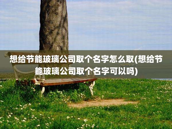想给节能玻璃公司取个名字怎么取(想给节能玻璃公司取个名字可以吗)