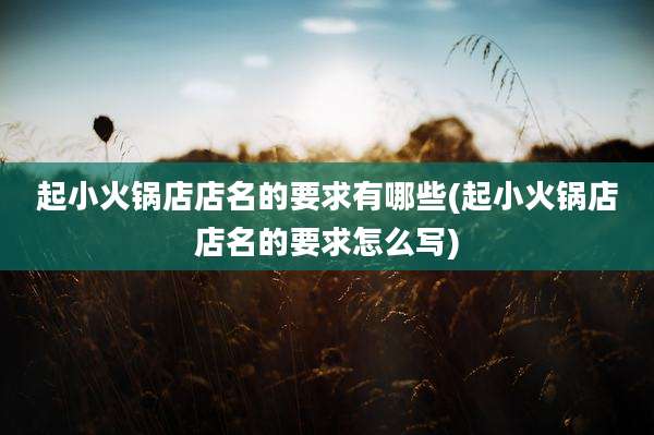 起小火锅店店名的要求有哪些(起小火锅店店名的要求怎么写)