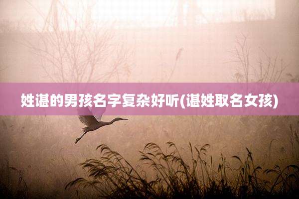 姓谌的男孩名字复杂好听(谌姓取名女孩)