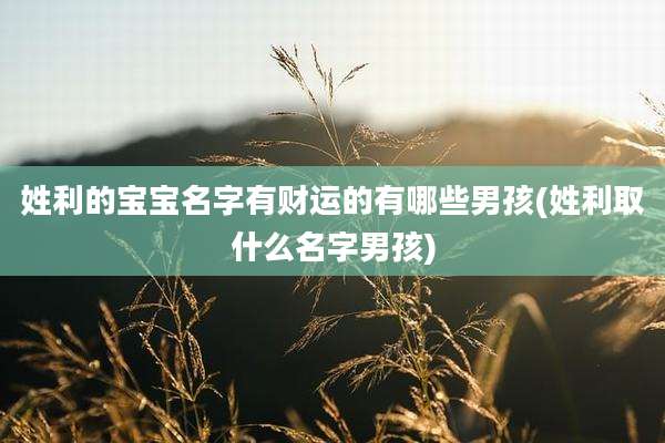 姓利的宝宝名字有财运的有哪些男孩(姓利取什么名字男孩)