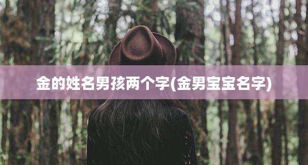 金的姓名男孩两个字(金男宝宝名字)
