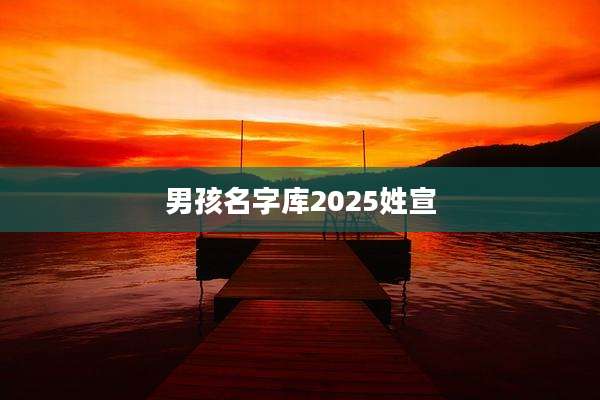 男孩名字库2025姓宣