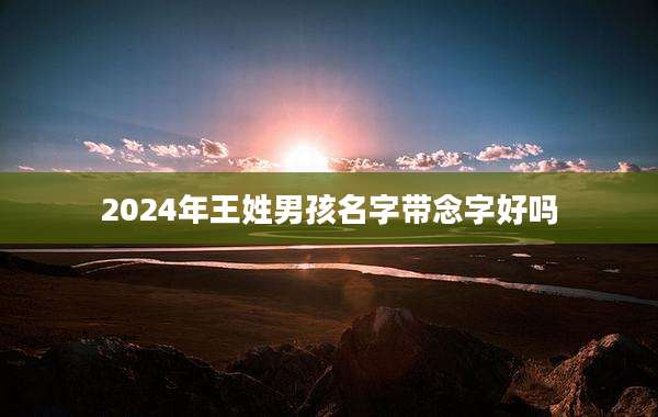 2024年王姓男孩名字带念字好吗
