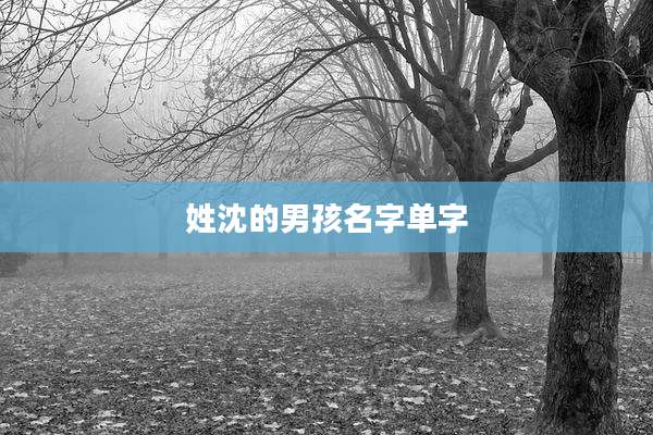 姓沈的男孩名字单字