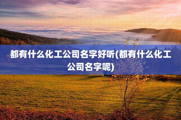 都有什么化工公司名字好听(都有什么化工公司名字呢)