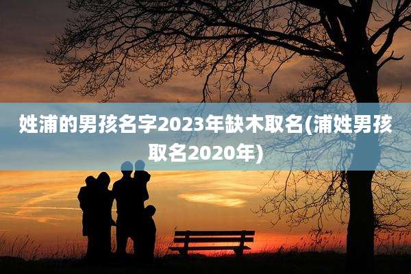 姓浦的男孩名字2023年缺木取名(浦姓男孩取名2020年)