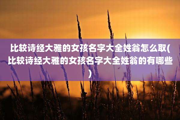 比较诗经大雅的女孩名字大全姓翁怎么取(比较诗经大雅的女孩名字大全姓翁的有哪些)