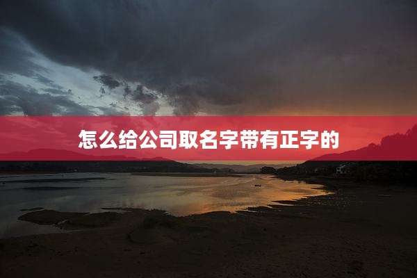 怎么给公司取名字带有正字的