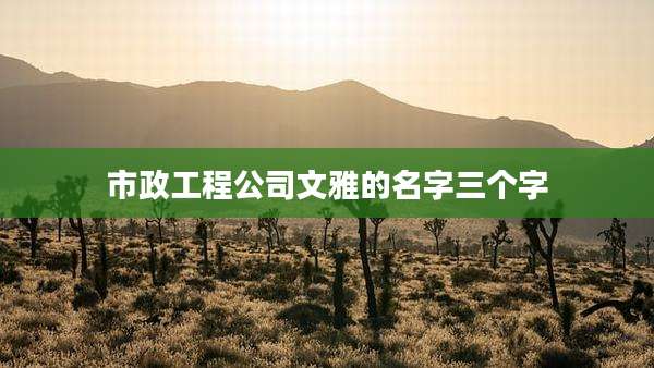 市政工程公司文雅的名字三个字