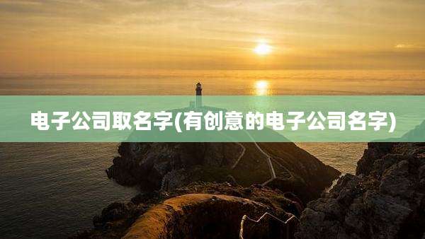 电子公司取名字(有创意的电子公司名字)