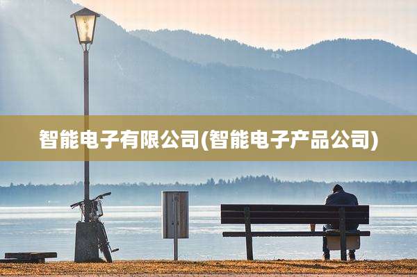智能电子有限公司(智能电子产品公司)