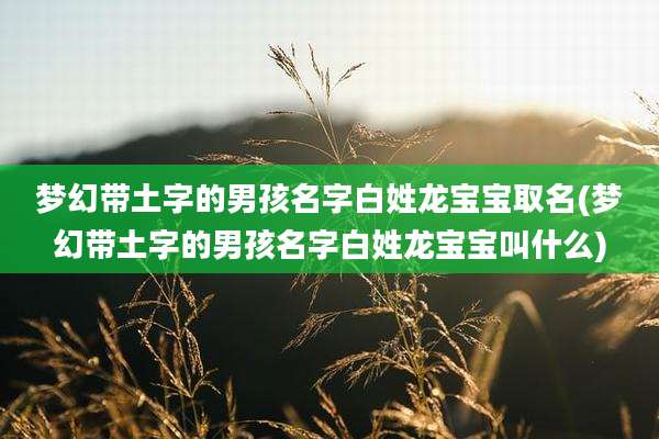 梦幻带土字的男孩名字白姓龙宝宝取名(梦幻带土字的男孩名字白姓龙宝宝叫什么)