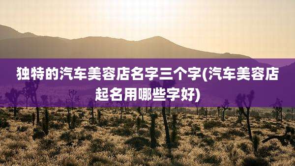 独特的汽车美容店名字三个字(汽车美容店起名用哪些字好)