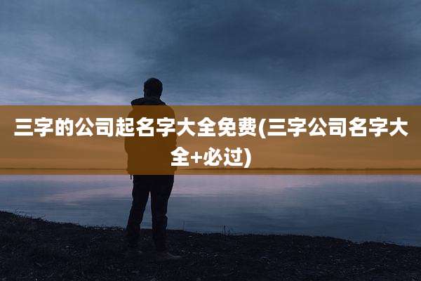 三字的公司起名字大全免费(三字公司名字大全+必过)