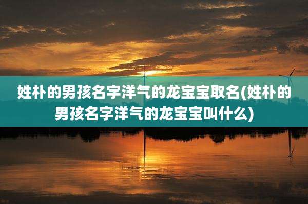 姓朴的男孩名字洋气的龙宝宝取名(姓朴的男孩名字洋气的龙宝宝叫什么)