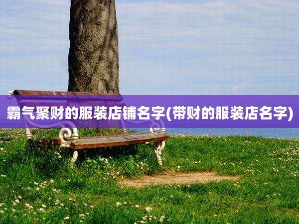 霸气聚财的服装店铺名字(带财的服装店名字)