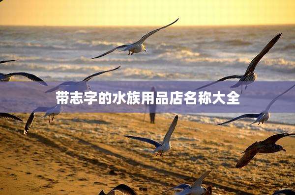 带志字的水族用品店名称大全