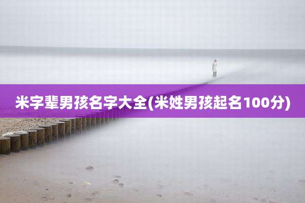 米字辈男孩名字大全(米姓男孩起名100分)