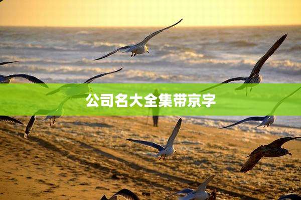 公司名大全集带京字