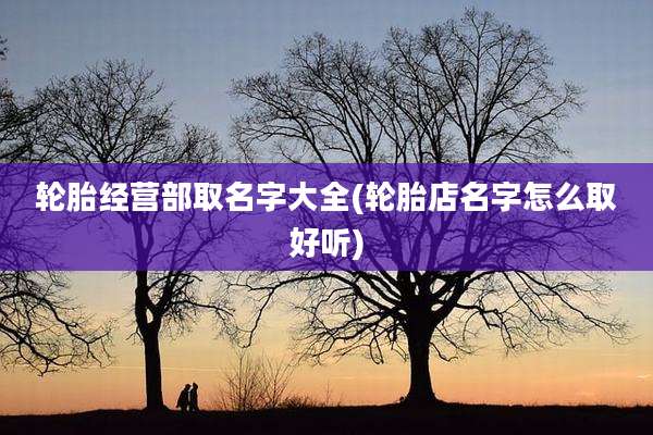 轮胎经营部取名字大全(轮胎店名字怎么取好听)