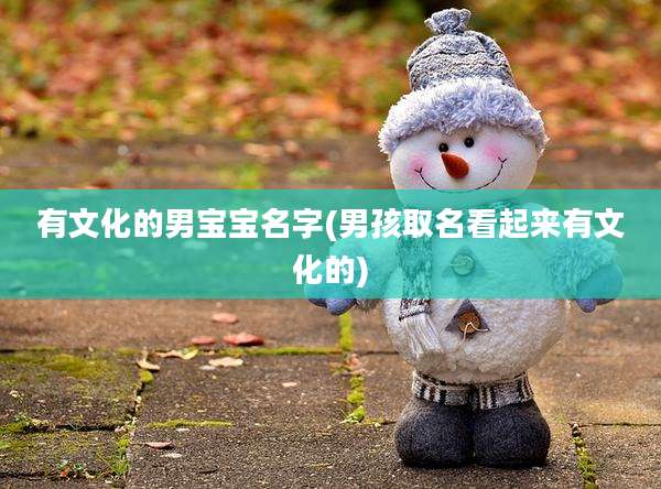 有文化的男宝宝名字(男孩取名看起来有文化的)
