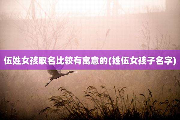 伍姓女孩取名比较有寓意的(姓伍女孩子名字)