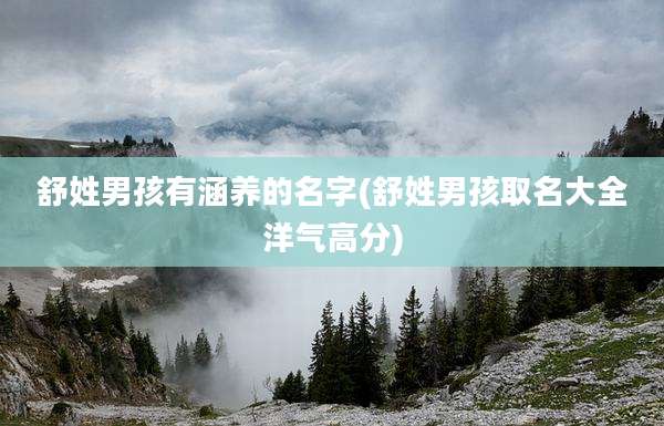 舒姓男孩有涵养的名字(舒姓男孩取名大全洋气高分)