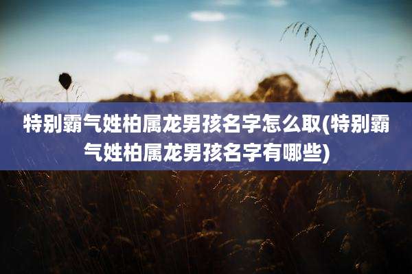 特别霸气姓柏属龙男孩名字怎么取(特别霸气姓柏属龙男孩名字有哪些)
