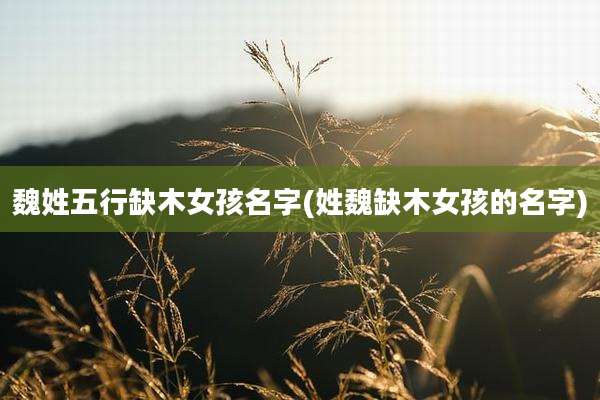 魏姓五行缺木女孩名字(姓魏缺木女孩的名字)