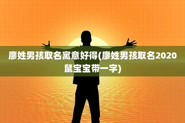 廖姓男孩取名寓意好得(廖姓男孩取名2020鼠宝宝带一字)
