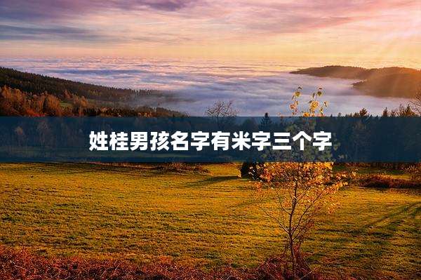 姓桂男孩名字有米字三个字