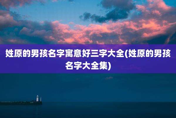 姓原的男孩名字寓意好三字大全(姓原的男孩名字大全集)