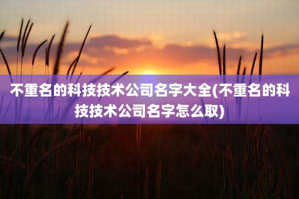 不重名的科技技术公司名字大全(不重名的科技技术公司名字怎么取)
