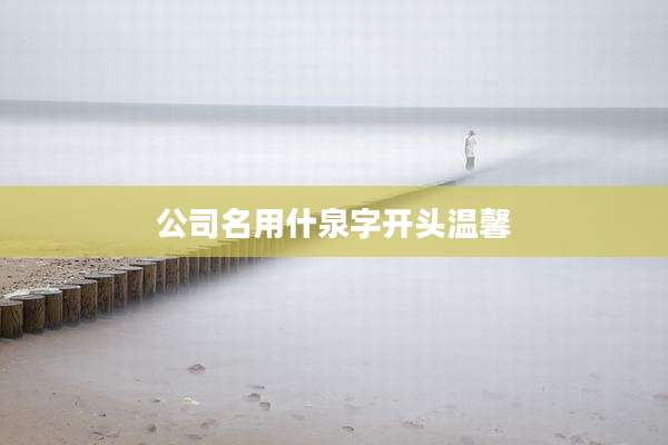公司名用什泉字开头温馨
