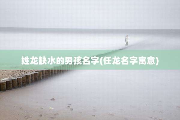 姓龙缺水的男孩名字(任龙名字寓意)