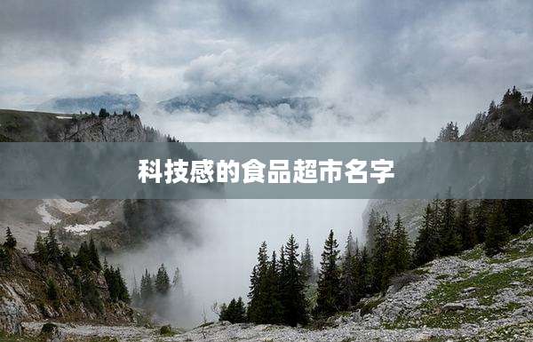 科技感的食品超市名字