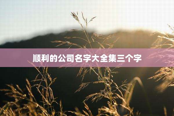 顺利的公司名字大全集三个字