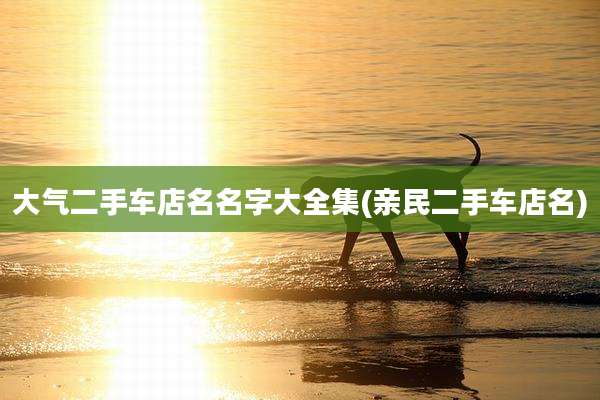 大气二手车店名名字大全集(亲民二手车店名)