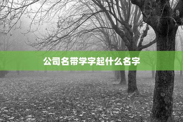 公司名带学字起什么名字