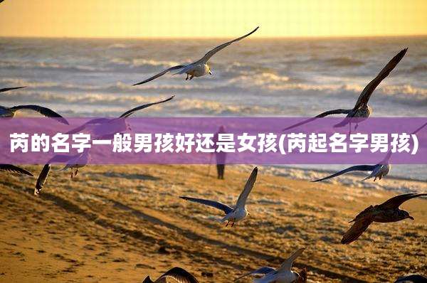芮的名字一般男孩好还是女孩(芮起名字男孩)