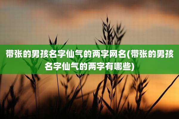 带张的男孩名字仙气的两字网名(带张的男孩名字仙气的两字有哪些)