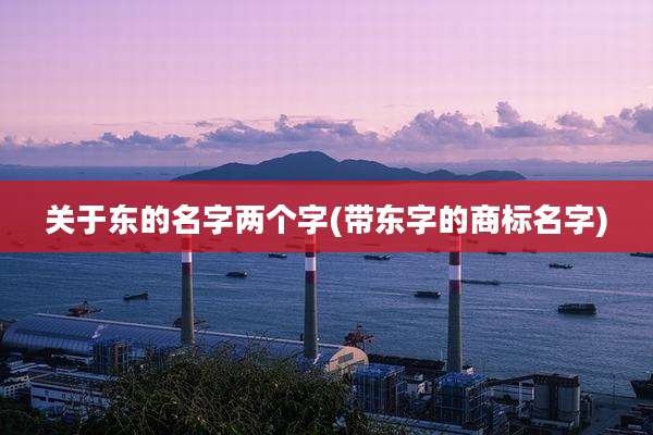 关于东的名字两个字(带东字的商标名字)